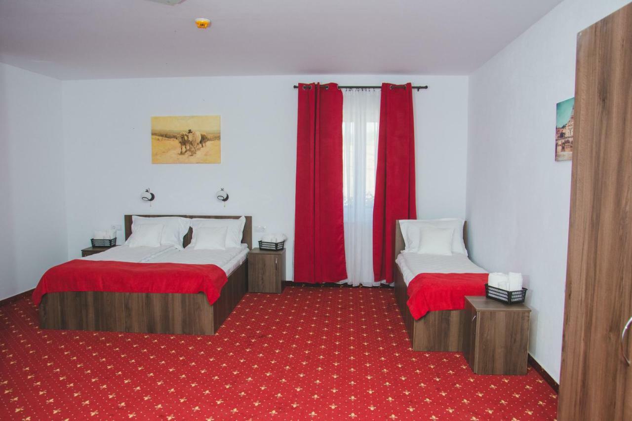 Pensiunea Iliada Sibiu Luaran gambar