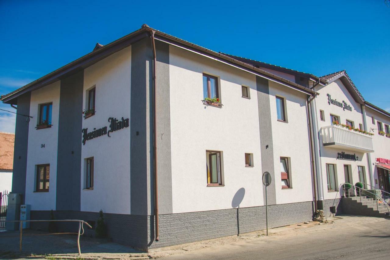 Pensiunea Iliada Sibiu Luaran gambar
