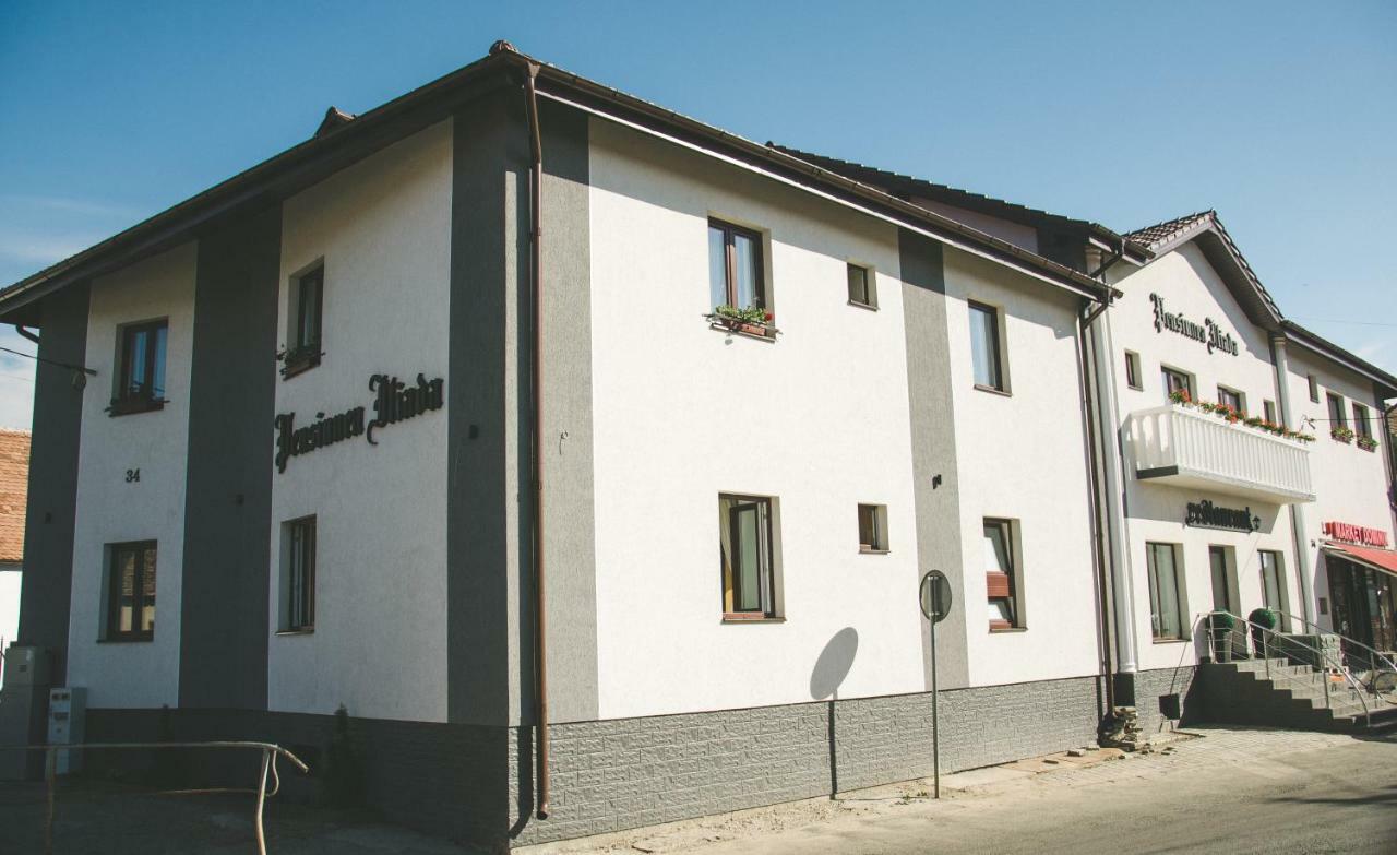 Pensiunea Iliada Sibiu Luaran gambar