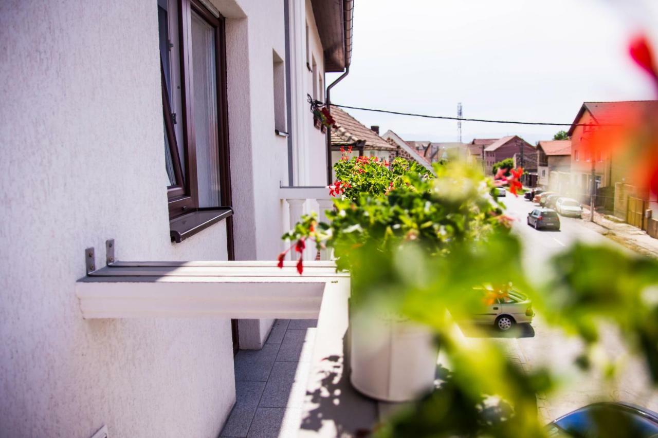 Pensiunea Iliada Sibiu Luaran gambar